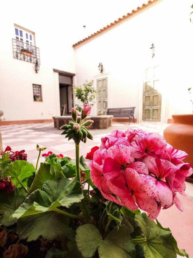 Apartment La Vina Salta